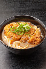 かつカレーうどん