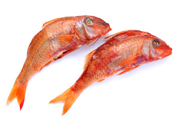 set of large smoked red mullet isolated on white background, beer snack