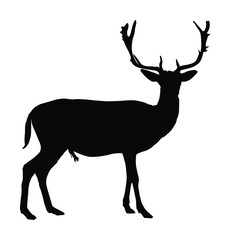 Naklejka na ściany i meble Deer vector silhouette illustration isolated on white background. Reindeer, proud Noble Deer male in forest or zoo. Powerful buck with huge neck and antlers standing. Red deer. 