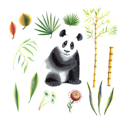 Baby panda and tropical leaves, bamboo,flower.  Hand painted 15 isolated elemens set  in  watercolor on a white background. © Evgeniia