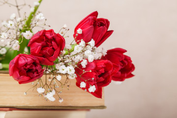 Vintage still Life with a spring red tulips and a books on a beige background. Mother's day, women's day concept