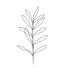 simple leaf icon