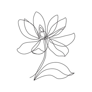 magnolia flower line icon