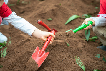 Closeup group of Asian school kids learn to plant tree seeds on sand outdoor