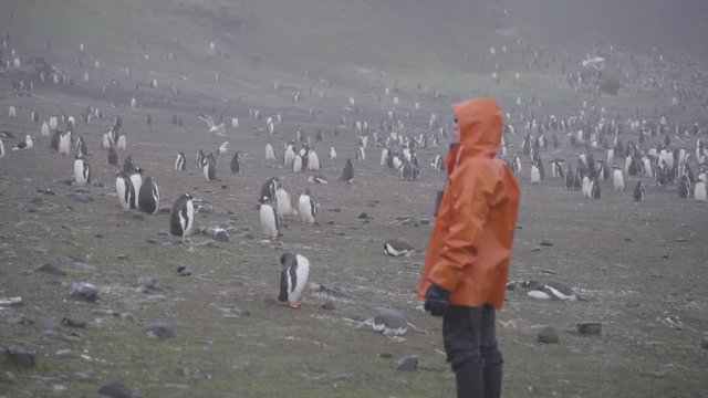 Traveler woman experiencing Gentoo penguins in Antarctica