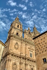Fototapeta na wymiar Famous Casa de las Conchas with La Clerecia Church in Salamanca, Spain