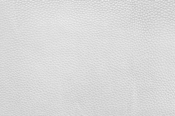 White Leather Texture