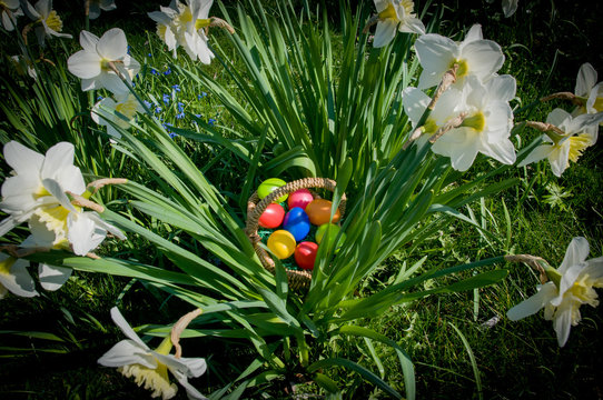 Bunte Ostereier in einem Korb.  Ostern. Eiersuche