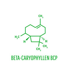 Caryophyllene molecule. Constituent of multiple herbal essential oils, including clove oil. Skeletal formula.