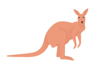 Cute kangaroo side view in flat style isolated on white background. Large Australian marsupial animal. Australian fauna. illustration