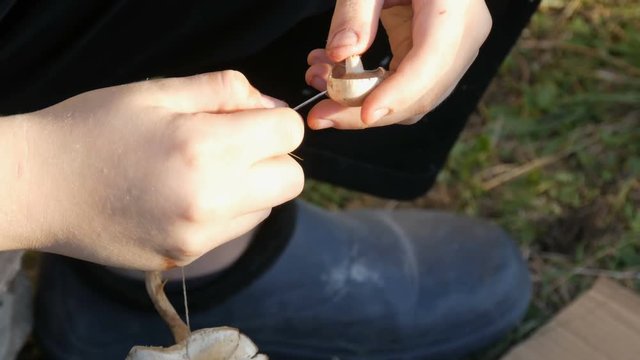 The hands of a teenager strung mushrooms on a string to dry. Autumn harvest of mushrooms