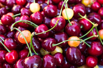  background of Fresh cherries  on wooden background.