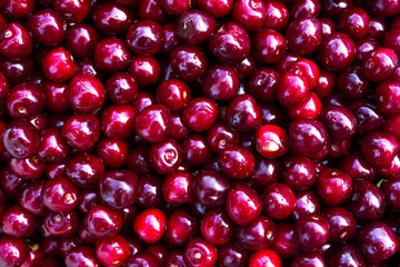 Close up of pile of ripe cherries with stalks and leaves. Large collection of fresh red cherries. Ripe cherries background.