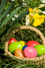 Bunte Ostereier in einem Korb.  Ostern. Eiersuche