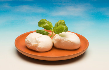 mozzarella cheese on the sky background with tomatoes cherry and basil