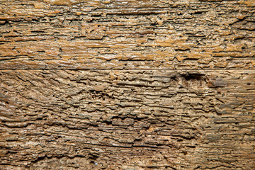 abstract brown natural wooden texture