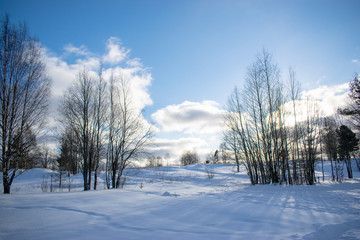field in winter Sunny day