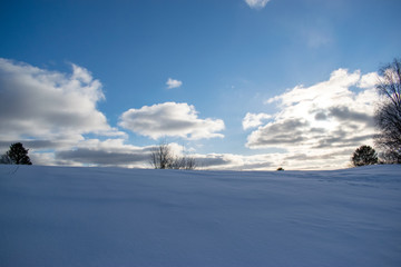 Fototapeta na wymiar field in winter Sunny day