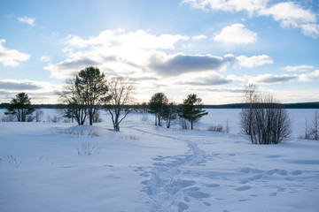 field in winter Sunny day