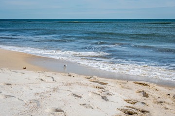 The overlooking view of the shore in Perdido Key State Park, Florida