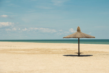 Beautiful palm tree sun umbrella on the beach