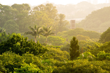 Obraz premium Beautiful landscape view at sunset time of the city of Sao Paulo in Brazil, The shot is from Sunset square or in portuguese 