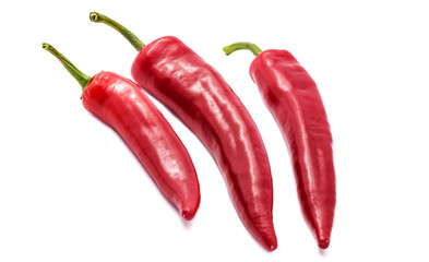 Red chili pepper isolated