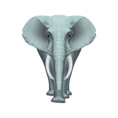 Front Realistic Vector Illustration of African Elephant - Symmetrical Design