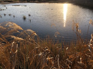 夕日に輝く湖