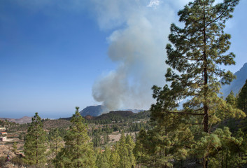 Gran Canaria, fire
