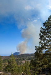 Fototapeta premium Gran Canaria, fire