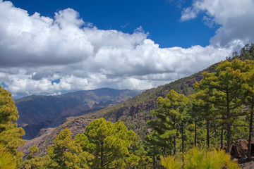 Fototapeta premium Gran Canaria, March