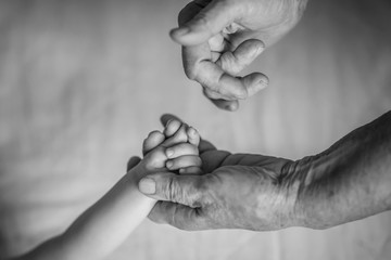 conceptual image of Maternity. Baby hands in great-grandmother hands. great-grandmother and her...