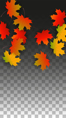 September Vector Background with Golden Falling Leaves. Autumn Illustration with Maple Red, Orange, Yellow Foliage. Isolated Leaf on Transparent Background. Bright Swirl. Suitable for Posters.