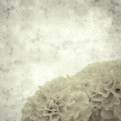  old paper background