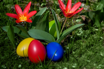 Bunte Ostereier in einem Korb.  Ostern. Eiersuche