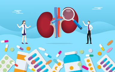 human two kidney medicine health pills drug capsule treatment with doctor analysis - vector