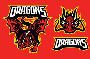 dragon character in sport mascot style