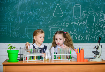 Girls on school chemistry lesson. School laboratory partners. Kids busy with experiment. Test tubes with colorful substances. Chemical analysis and observing reaction. School equipment for laboratory