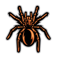 tarantula spider mascot - obrazy, fototapety, plakaty