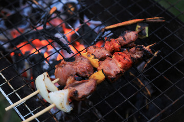 Roasted pork with vegetable kebabs on barbecue grilling stove.