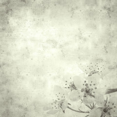  old paper background