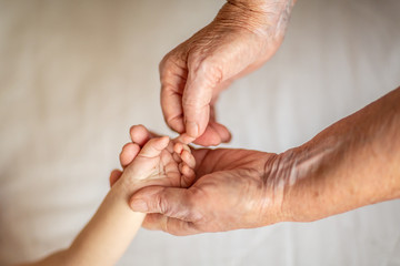 Fototapeta premium hands closeup. Mom and her Child. Happy Family concept. Beautiful conceptual image of Maternity. hands of young great-grandson and old great-grandmother