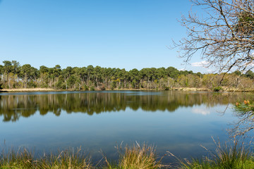ANDERNOS - ARES (Bassin d'Arcachon, France), site naturel de Saint-Brice