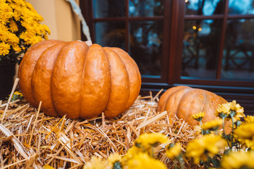 Autumn decoration with pumpkins and flowers on a street in a European city
