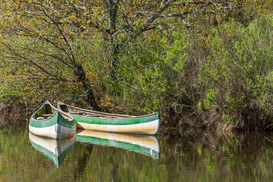 BASSIN D'ARCACHON (France), cano&euml;s sur la rivi&egrave;re Leyre, surnomm&eacute;e la 'petite Amazone'