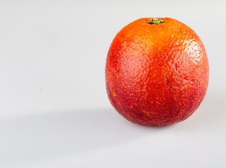 Red orange on a light background.