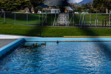 Scenes from a stroll around Coromandel, New Zealand