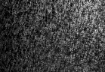 Leather with abstract pattern in black and white.