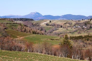 Fototapeta na wymiar paysage d'Auvergne